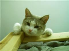 b0052192_056555.jpg
