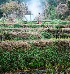湿地帯がベースを再確認－全面保全決定後の台峯を歩く－_c0014967_22195931.jpg