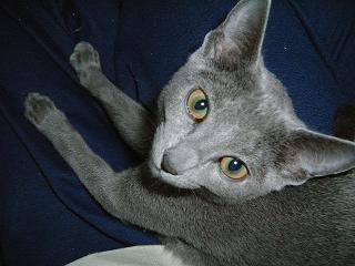 c0000307_16441161.jpg