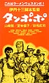 タンポポ_a0037338_2328396.jpg