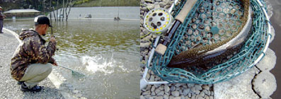 c0006592_84136.jpg