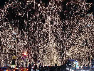 c0000102_227930.jpg