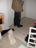 c0013693_12361911.jpg