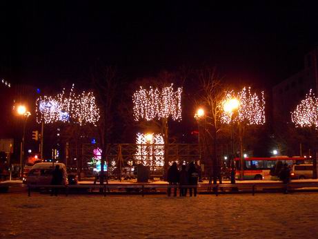 b0005001_140266.jpg