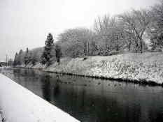 c0000102_14143480.jpg