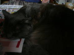 c0000102_14151496.jpg