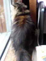 c0000102_14163869.jpg