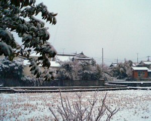 b0057612_18381658.jpg
