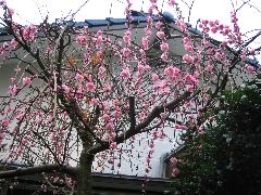 a0033552_212455.jpg