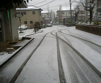 大晦日も雪_c0014660_14125537.jpg