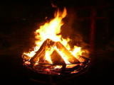 c0000102_1552028.jpg
