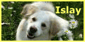 a0032004_14493226.gif