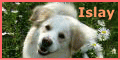 a0032004_1456173.gif