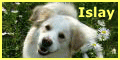 a0032004_14575599.gif