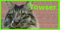 a0032004_14581573.gif