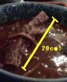 a0026115_2262429.jpg