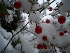 a0038129_024303.jpg