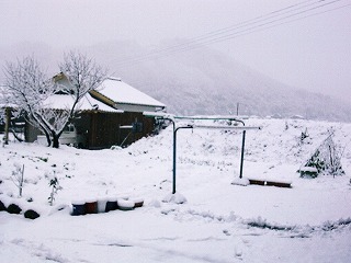 雪の大晦日_b0059154_0245539.jpg