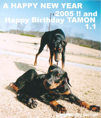 A HAPPY NEW YEAR 2005 !! and HAPPY BIRTHDAY TAMON !!_a0034287_0181315.jpg