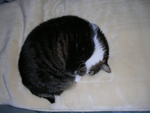 b0011345_2231122.gif