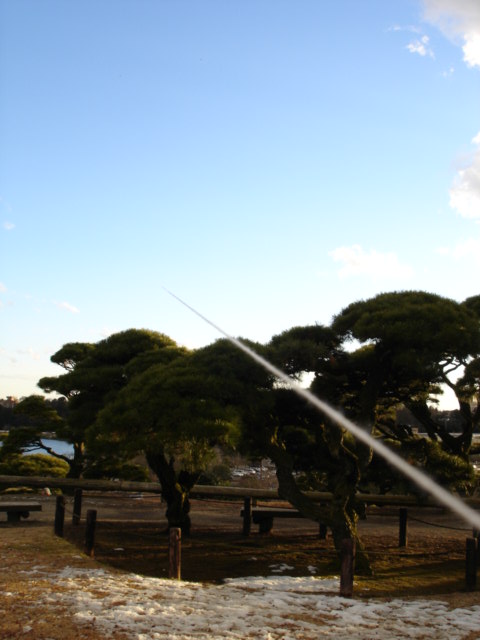 a0026254_13203690.jpg