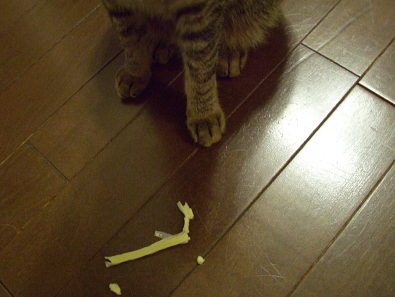 猫はチーズ鱈を盗む_a0014810_164293.jpg