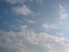 a0033552_2240286.jpg