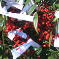 b0067598_044030.jpg