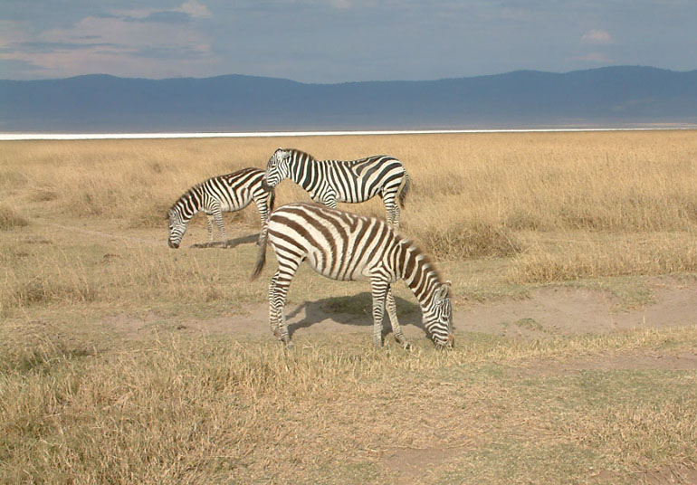 b0016623_1628346.jpg