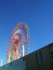 1月2日の充実_b0016474_2330998.jpg
