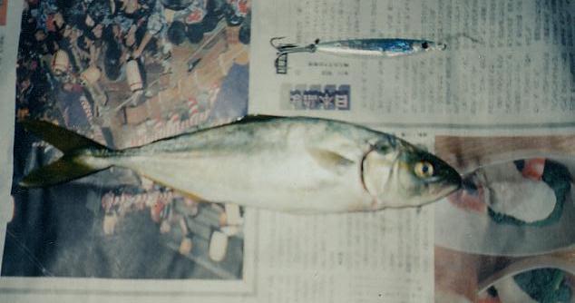 c0026627_22521838.jpg