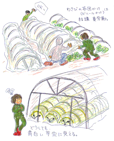 b0015222_20132772.gif