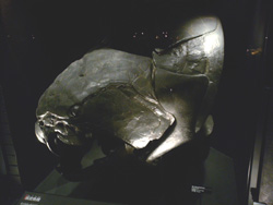 b0026541_09205.jpg