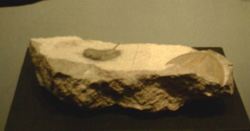b0026541_09265.jpg
