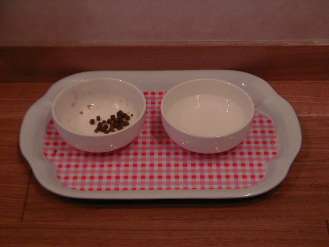 c0028121_17434059.jpg