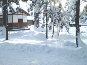 雪を歩く．　（01/08/2005）_b0020644_22443744.jpg