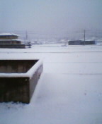 c0003396_203912100.jpg