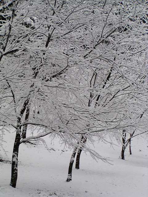 雪のある風景_a0034607_2045429.jpg