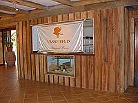 b0038810_11294537.jpg