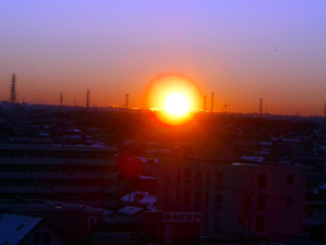 c0009224_849661.jpg