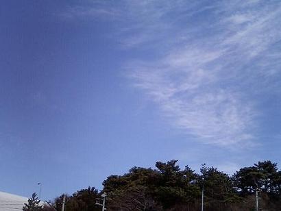 a0014840_1828736.jpg