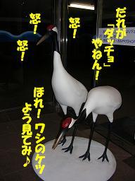c0004744_343510.jpg