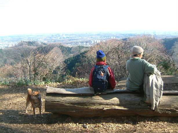 b0000252_1050565.jpg