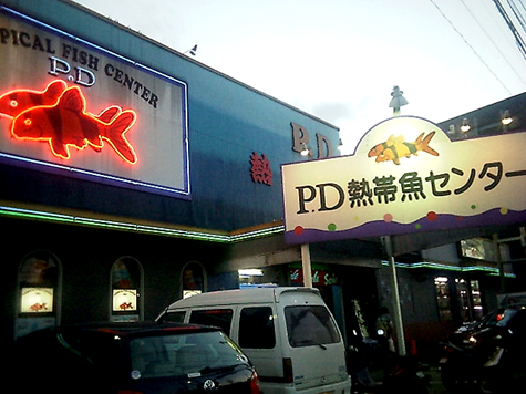 a0019601_12392840.jpg