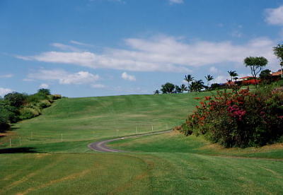 c0010308_20481816.jpg