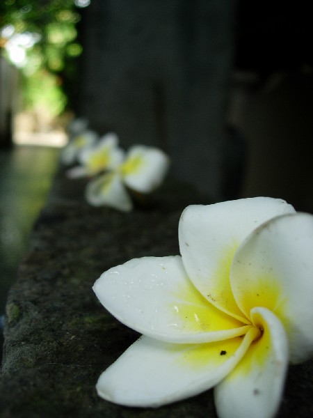b0042527_20504769.jpg