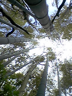 a0033733_2294692.jpg