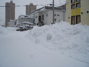 雪・雪・雪・・・_b0003280_23275785.jpg