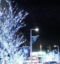 c0030363_1253528.jpg