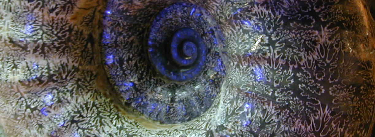 b0068572_9281335.jpg